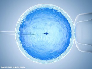 优胚鲜胚移植医学中心